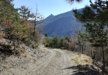 Trail Walking Bézaudun-sur-Bîne - tout du gourdon - Photo