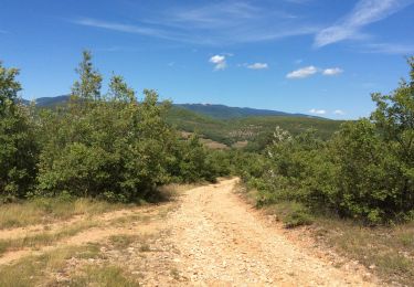 Tour Wandern Banon - Le Largue 2 - Photo