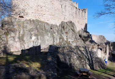 Tour Wandern Dieffenthal - Dieffenthal - Photo