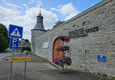 Tour Wandern Aywaille - Harzé  (Ay 32) - Photo