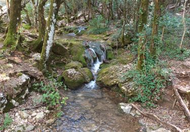 Trail On foot Nans-les-Pins - L'Huveaune-Nans les pins-06-10-21 - Photo