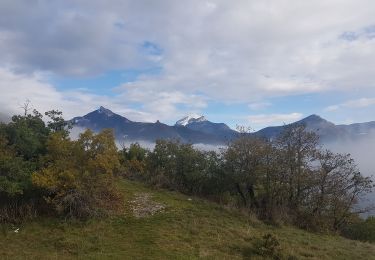 Trail Walking Proveysieux - Le Belvédère du Scialet - Proveysieux - Photo