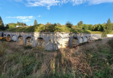 Tocht Stappen Les Rousses - Bief de la Chaille - Photo