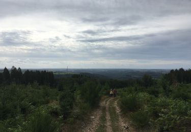 Tocht Stappen La Roche-en-Ardenne - Adeps Samree 2019 - Photo