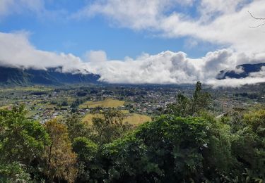 Randonnée Marche La Plaine-des-Palmistes - Tour du Piton des songes - Photo