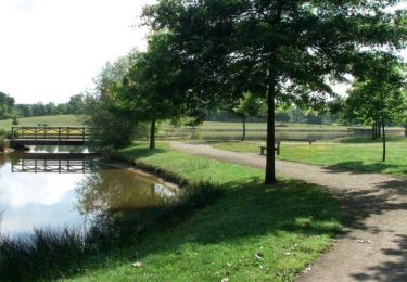 Tour Wandern Chaumes-en-Retz - Les Chênes - Photo