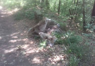 Tour Wandern Andenne - 20190622 - Photo