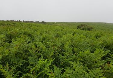 Randonnée Marche Mendionde - le mont baïgura  - Photo