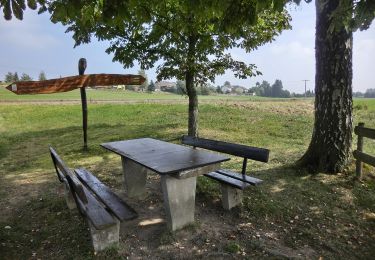 Percorso A piedi Falkenberg - Falkenberg Rundwanderweg 4 - Photo