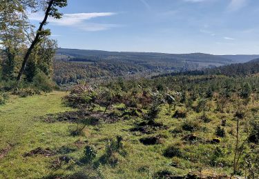 Trail Walking Libin - Libin 141021 - Photo