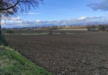 Percorso Marcia Heimsbrunn - Heimsbrunn Mors Haulibourg - Photo