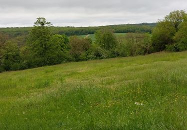 Tocht Stappen Gorze - Gorze - Photo