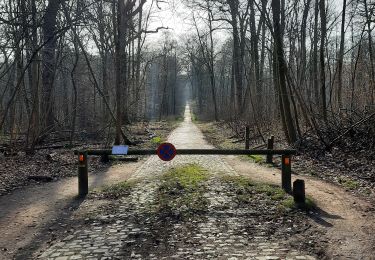 Percorso Marcia Etterbeek - De Merode à Montgomery en passant par la forêt de Soignes et plein d'étangs - Photo