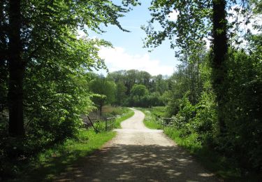 Randonnée A pied Neukirchen-Vluyn - Littard Rundweg A3 - Photo