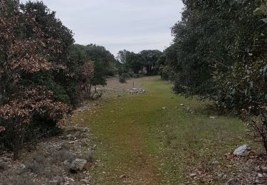 Tour Wandern Mas-de-Londres - sauzet-lac de la jasse - Photo