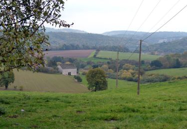 Percorso Marcia Anhée - Ohet - Losange vert - Photo