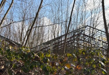 Trail sport Yerres - Rando cha 2 - Photo