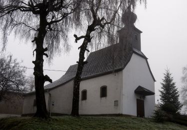 Randonnée A pied Gampern - Römerrundweg - Photo