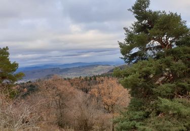 Trail Walking Royat - Oclede-GraveNoire-Charade_T - Photo