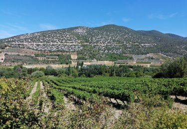 Tour Wandern Malaucène - Rand'eau gorges du toulourenc - Photo