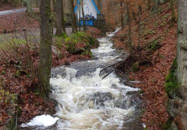 Randonnée Marche Stavelot - Extratrail_stavelot_13km_new - Photo