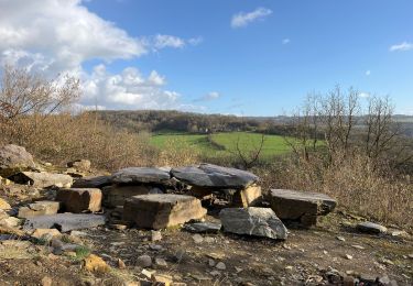 Trail Walking Comblain-au-Pont - Comblain au pont - Photo
