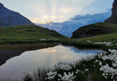 Percorso A piedi Lauterbrunnen - CH-Boganggenalp / Rotstockhütte-Sefinenfurgge - Photo