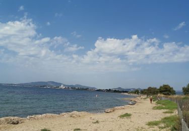 Trail Walking La Londe-les-Maures - les vieux salins - Photo