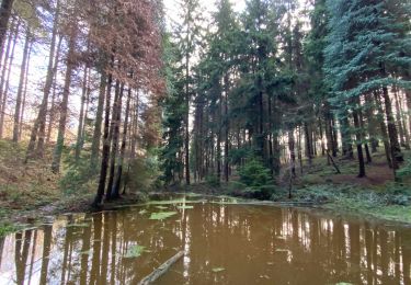 Excursión Senderismo Tervuren - Tervuren et son arboretum - Photo