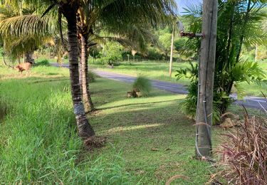 Tocht Lopen Sainte-Anne - Liards saint Robert  - Photo