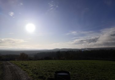 Trail Walking Le Hom - Hamars - Photo