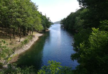 Trail Walking Villefort - Lac Villefort la Garde Guerin, lac de Villefort.(31-05-2020) - Photo