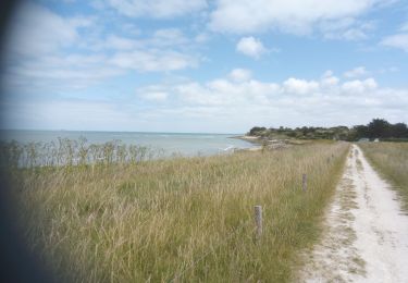 Randonnée Marche Saint-Denis-d'Oléron - St Denis d'Oléron - Photo