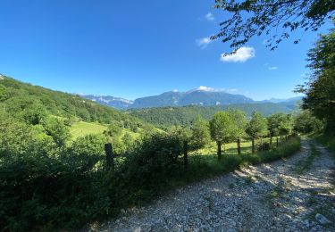 Tour Wandern Saint-Aupre - Circuit au départ de Saint Aupre - Photo