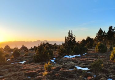 Tour Wandern Railleu - refuge de la perdrix - Photo