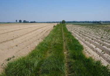 Randonnée Marche Gembloux - bgg - ernage bertinchamps gentines chastre perbais - Photo