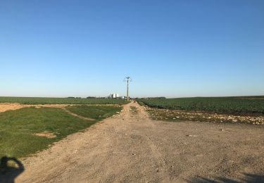 Excursión Senderismo Santeny - Varennes Jarcy Villemeneux par la déchèterie  - Photo