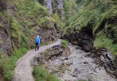 Percorso Sentiero Gemeinde Kirchdorf in Tirol - Grießbachklamm – Wasserfall - Photo