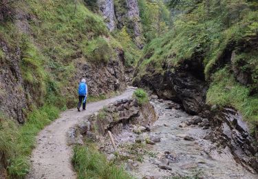 Randonnée Trail Gemeinde Kirchdorf in Tirol - Grießbachklamm – Wasserfall - Photo