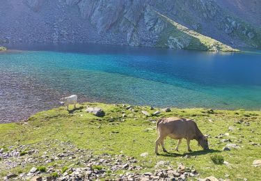 Trail Walking Alins - etp31. gr11 - Photo