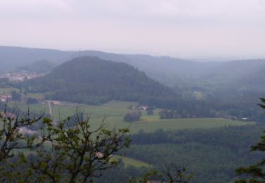 Excursión Senderismo Champ-le-Duc - bruyeres - Photo