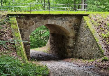 Excursión A pie Neustadt in Sachsen - Grüner Punkt, Valtenberg - Photo