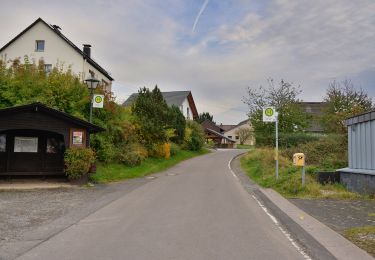 Trail On foot Ruppichteroth - Winterscheidermühle Rundweg A10 - Photo