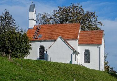 Tocht Te voet Bad Saulgau - Rundwanderweg 4 - Photo