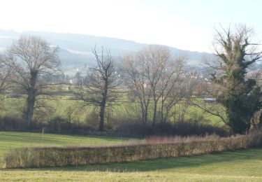 Tour Wandern Saint-André-d'Apchon - B14 - Photo