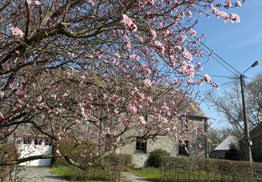 Tour Wandern Rochefort - Wavreille - Photo