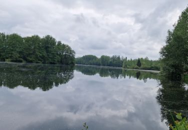 Trail Mountain bike Mesnil-Saint-Laurent - mesnil - Vendeuil  - Photo