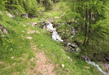 Trail Walking Entraunes - Estenc rando 1  - Photo