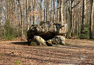 Tocht Stappen Les Ventes - La pierre courcoulé - Photo