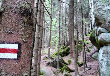 Tour Zu Fuß Wambierzyce - Pielgrzym - Stroczy Zakręt - Photo